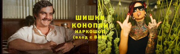 индика Вяземский