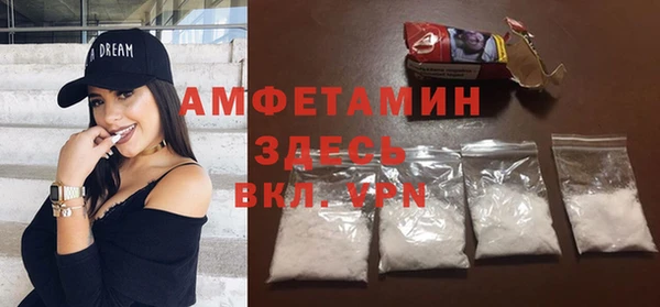 индика Вяземский
