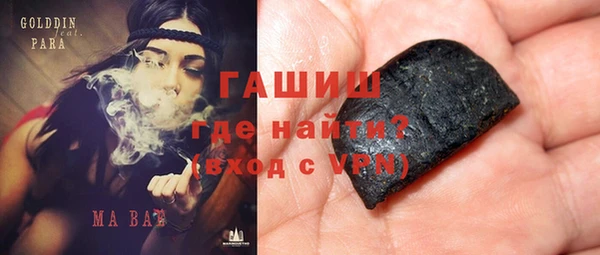 индика Вяземский