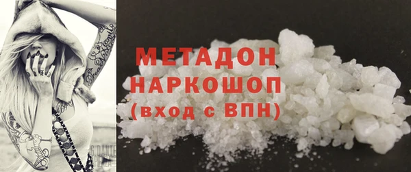 индика Вяземский