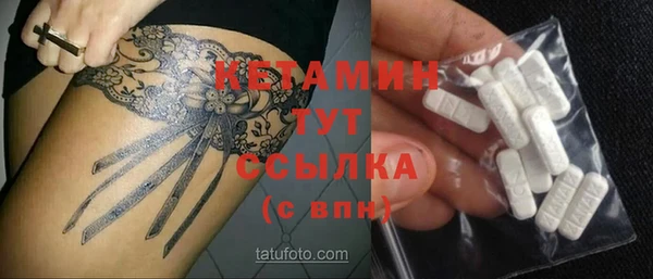 индика Вяземский