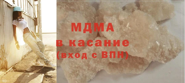индика Вяземский