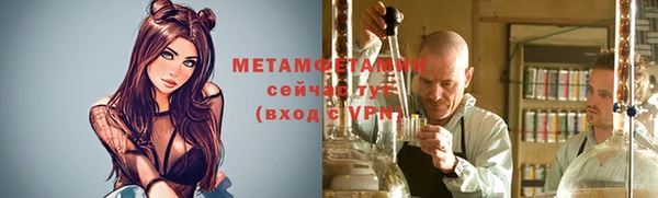 индика Вяземский