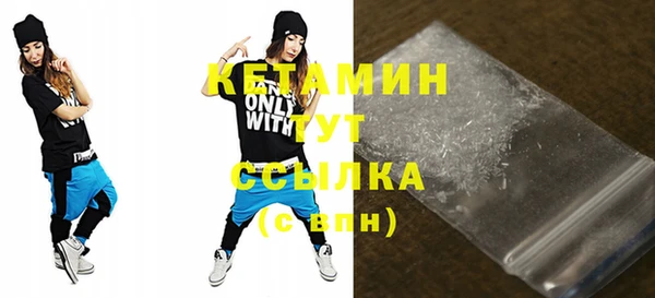 индика Вяземский