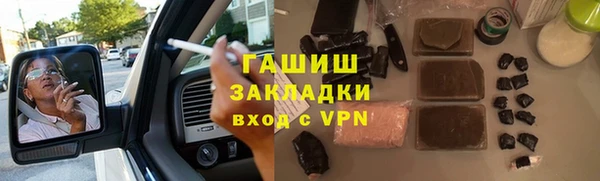индика Вяземский