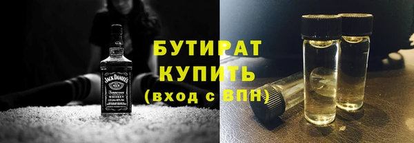 индика Вяземский