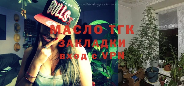 индика Вяземский