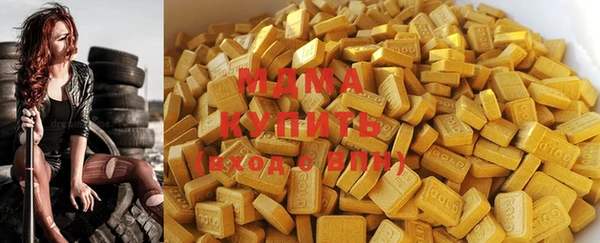 индика Вяземский