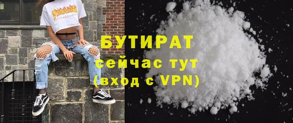 индика Вяземский