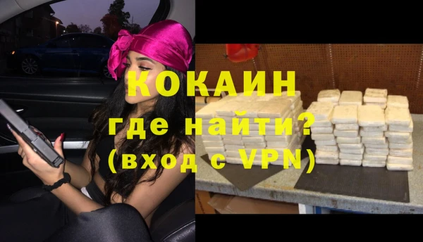 индика Вяземский
