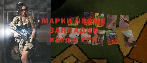 индика Вяземский