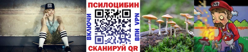 Псилоцибиновые грибы мицелий  Задонск 